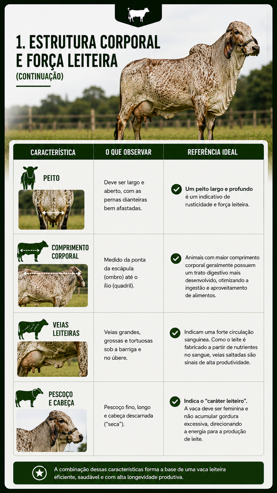 Amostra 5
