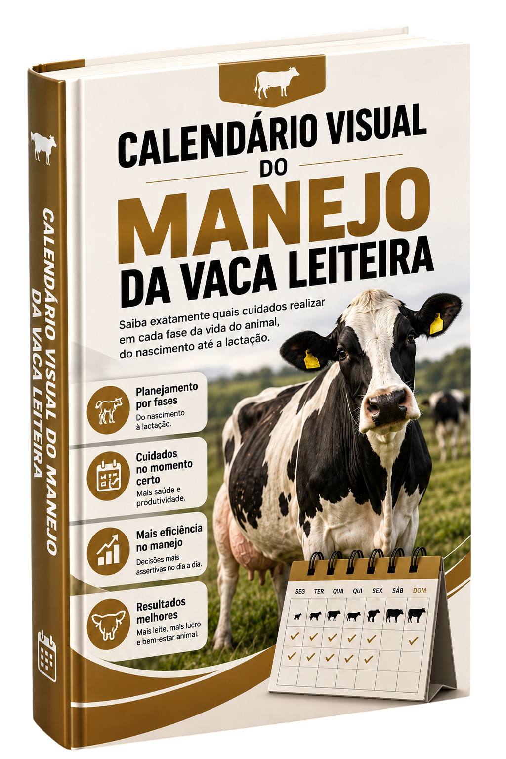 Calendário Visual do Manejo da Vaca Leiteira