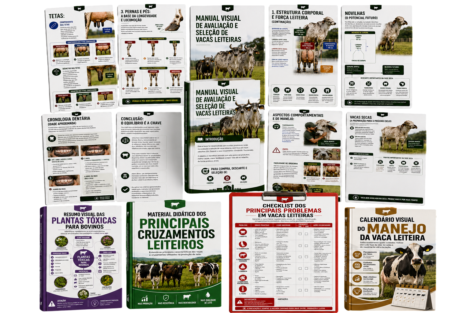 Manual Visual de Avaliação e Seleção de Vacas Leiteiras