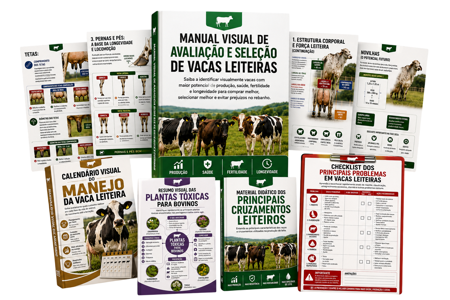 Manual Visual de Avaliação e Seleção de Vacas Leiteiras