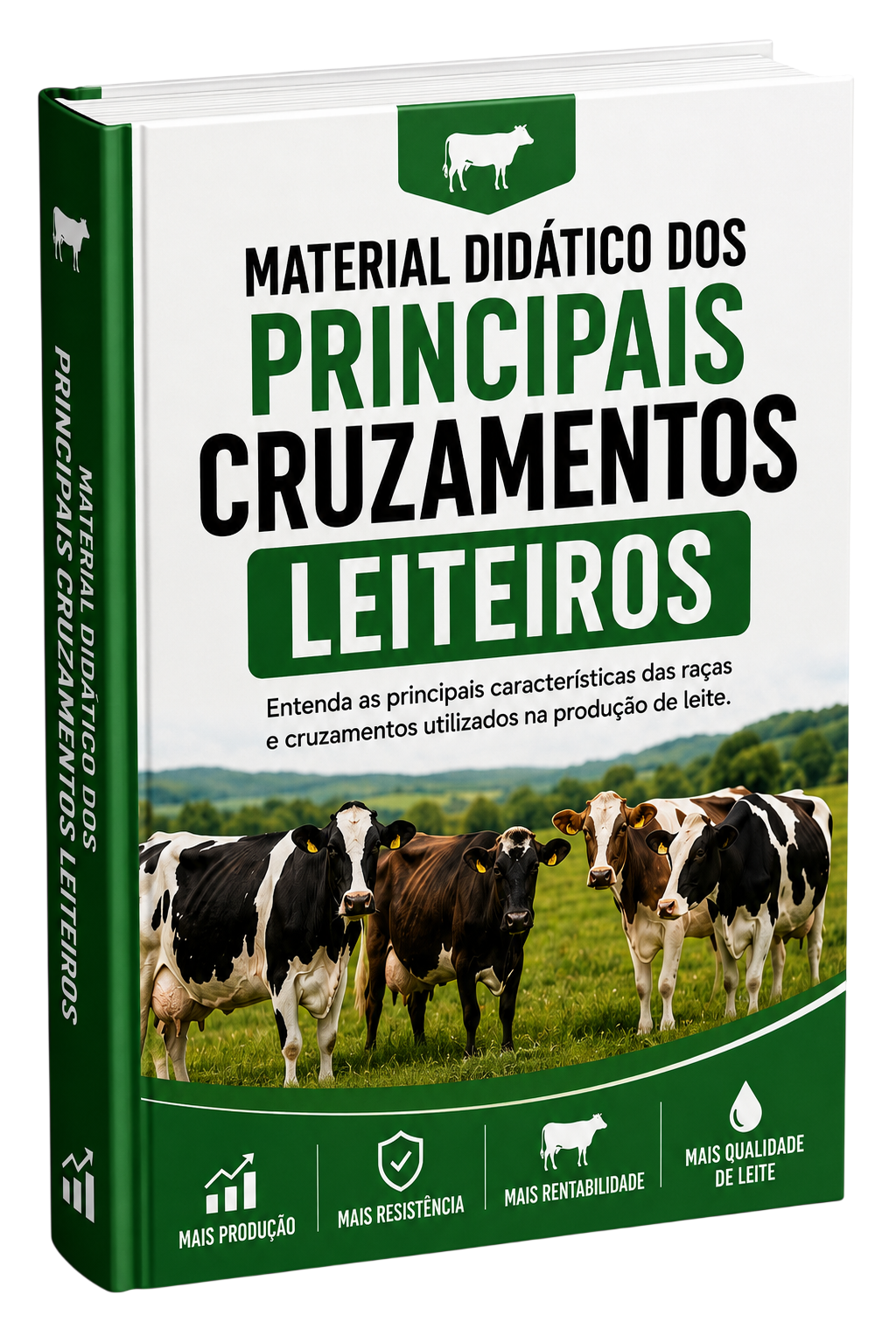 Material Didático dos Principais Cruzamentos